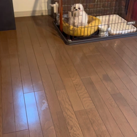 なんでだろの画像