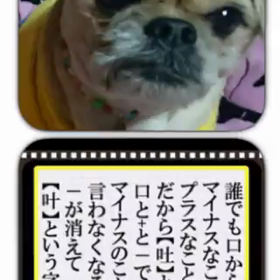 パパぼっちの格言の画像