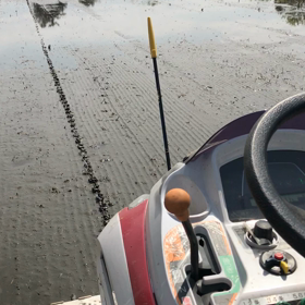 今日で田植えが終了　田植え機に乗せてもらい撮影の画像