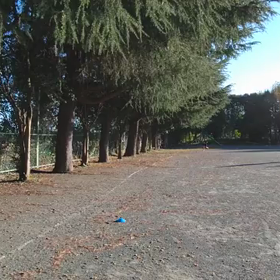 襷練習⑮の画像