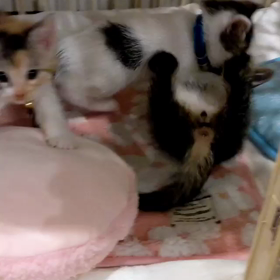 最強伝説の画像