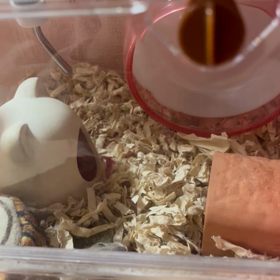 やっほー☺️の画像