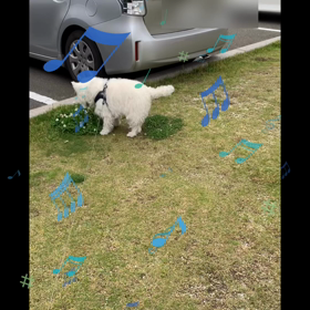 お散歩楽しい〜♫の画像