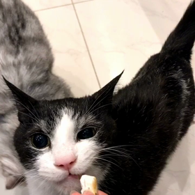 ガブガブ食べる坂本くん❤️の画像