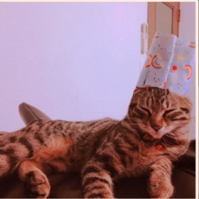 テテの気持ちの画像