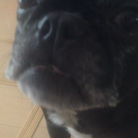 ウマウマの画像