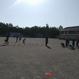 ダッシュの場⑥の画像