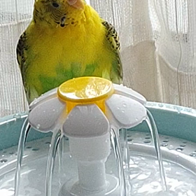 ５月20日 おはようございますの画像