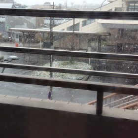 今冬最強の雪。の画像