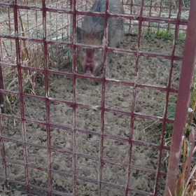 あっという間に2月突入の画像