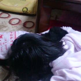 スリスリ【動画】の画像