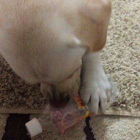 リサイクル活動の画像