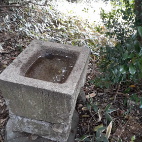 権現山祭の画像