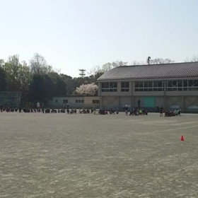 4月9日 10色リレー⑳の画像