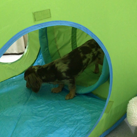 ♪プレイルーム動画♪②の画像