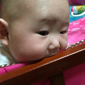 はむはむしてる。の画像