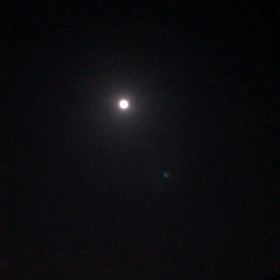 お月見いかが(^^)？の画像