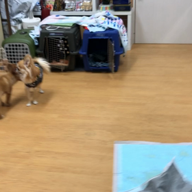 ソル、ノリ悪い。の画像