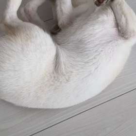 ひとり遊びの画像