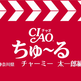 ちゅーるちゅーる♪の画像