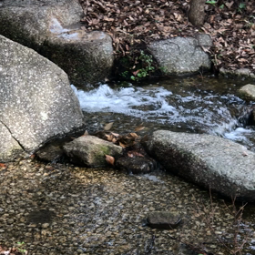 上流の画像