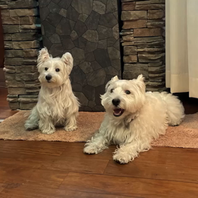 JJくんとこうざぶろうの画像