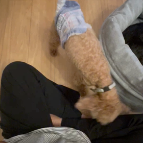 さりげなくの画像