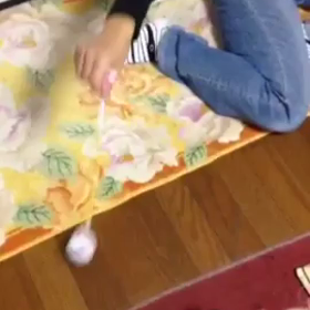 動画をひとつ（笑）の画像