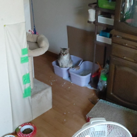 エチケット違反の画像