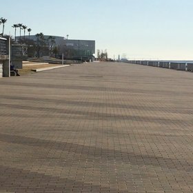 天気が良いので散歩しに来たよ♩の画像