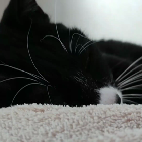 早起きは三文の徳♪の画像