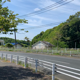 巣作りしてるよの画像