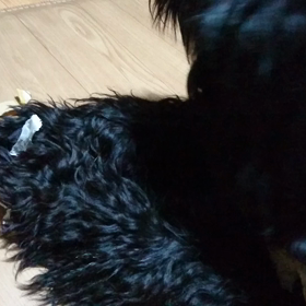 独り遊び中の画像