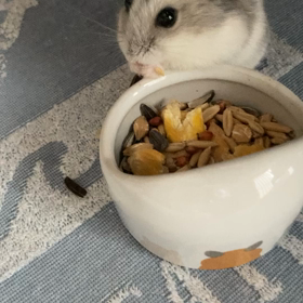 ひまわりの種(^^)/☆の画像