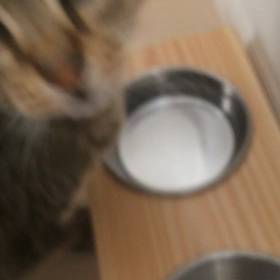 変な飲み方？の画像