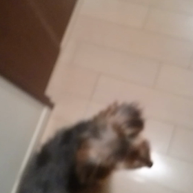 ぱんちゃん持って寝るよ☺️の画像