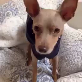 2015年 今年もよろしくお願いいたします♪の画像