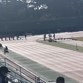 チャレンジカップ５年男子100mの画像