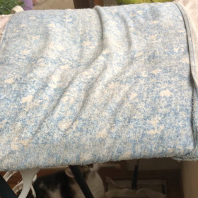 雪？雪…運動能力低下デールちゃん。の画像