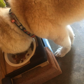 ASMR ただ食べる動画の画像