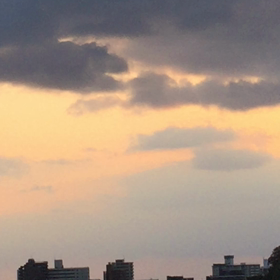 おはようございます。の画像