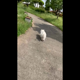 こうざぶろうの大冒険の画像