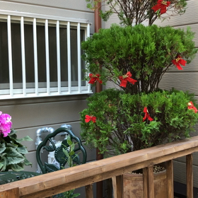 古民家風サロンのクリスマスの画像