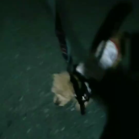 パレット　よるんぽからのの画像