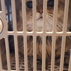 昨日、、、の画像