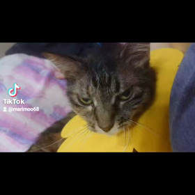 連休終わりの画像