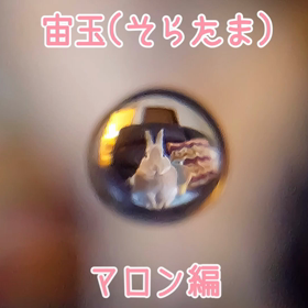 宙玉(そらたま)マロン  動画編の画像