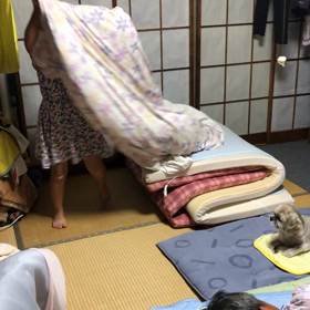 お手伝い2の画像