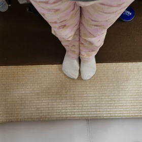 そのとき　猫たちはの画像