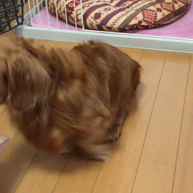 一年前…の画像